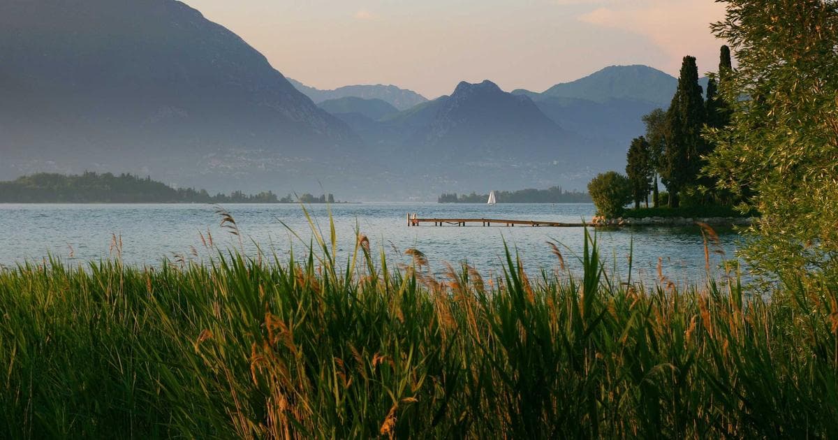 Roblox Studio 兒童遊戲開發入門：從安裝到第一個 Obby 障礙賽完整教學